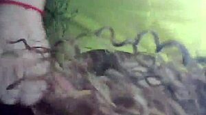 blow job in arizona with monster cock deepthroat