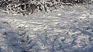 Man Jerks Off Riskily In Public Park