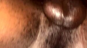 ebony fat ass beauty fucked raw until she gets a full creampie, rough and deep