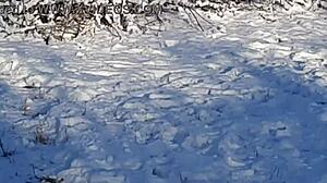 Man Jerks Off Riskily In Public Park