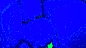 bleu room does an anal solo finger fuck, it's so hot