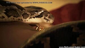 Bollywood wife strips teasingly, ripping clothes for erotic undressing show! 😘