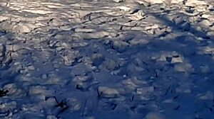 Man Jerks Off Riskily In Public Park