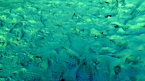 Man Jerks Off Riskily In Public Park