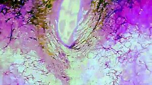 Out Of This World Black Lesbian Pussy Masturbation Orgasm