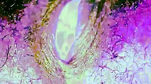 Out Of This World Black Lesbian Pussy Masturbation Orgasm