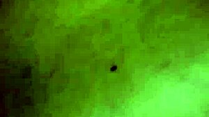 Arab Lover Receives Detailed Anal Bathing with Tattoos and Costumes