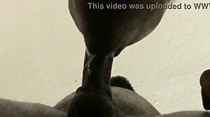 He cums hard, but I keep sucking for more