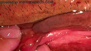 Asian teen's shaved pussy licked 172 days post-virginity.