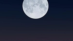 Kjus thanks fans with new years special event