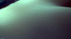 De Perrito Cómo Le Gusta