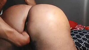 Nigarchrist Update 1444 Petal 20250617 155219 Jun 17 2025