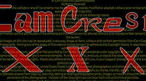 i worship his feet while he fucks my asian wife