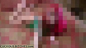 wanna learn how to give the best blowjob? check out my guide