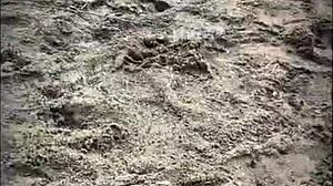 public encounter on the beach with stranger