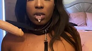 Lexo butterflys sucks that cock off the wall in submissive style