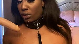 Lexo butterflys sucks that cock off the wall in submissive style