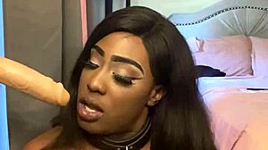 Lexo butterflys sucks that cock off the wall in submissive style