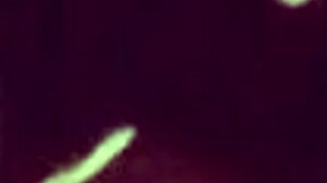 Nicoli Fox and Leo Ogro's Silhouette Challenge