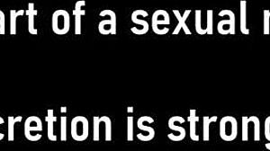 Daisy Beans Pussy Gets Blasted with Cum POV Version