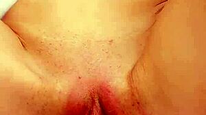 Fibi's euro porn collection in town, featuring creampie compilations