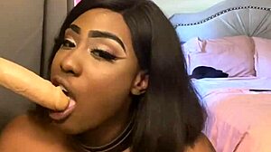 Lexo butterflys sucks that cock off the wall in submissive style