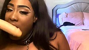 Lexo butterflys sucks that cock off the wall in submissive style