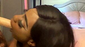 Lexo butterflys sucks that cock off the wall in submissive style