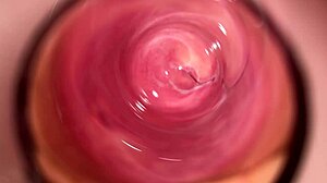 CAMERA DEEP INSIDE MIA'S TIGHT CREAMY PUSSY