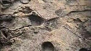 public encounter on the beach with stranger