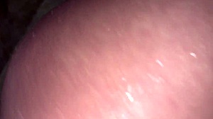 i brought a tourist to my hostel and we ended up fucking in the bathroom with her big ass and monster cock