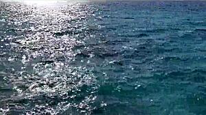 Did monika fox stop the bus to swim naked in the sea with pierced nipples?