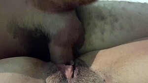 foda deliciosa com minha esposa sem camisinha