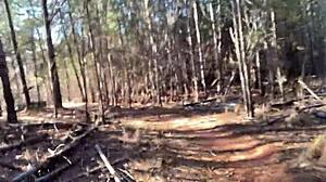 clitlicker662 update 23 img 1265 with outdoor masturbation and voyeur