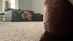 Room 215 Redhead Babe Model