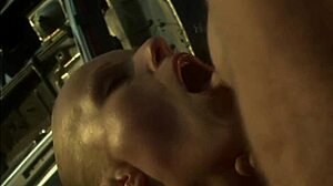 i love sucking cracker dick outdoors