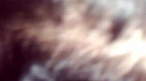 Transsexual sucks young client's pink dick in apartment for sensual encounter.