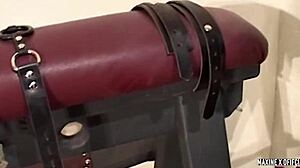 Tied Up Star Nine Fucked By Maxine X While Filmed