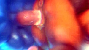 edit furry zonkpunch with intense sexy action