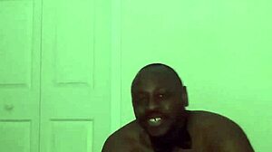 Taking turns stretching like zodiac animals