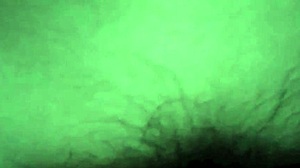 I Couldn't Wait And Fucked The Young Amateur Teen In A Sexy One-On-One Session.