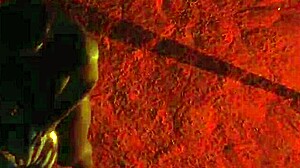 Wild life chapter one episode ten the island