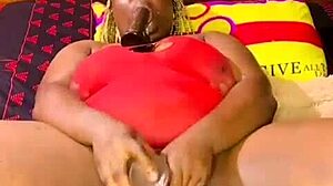 Nigarchrist Update 1618 Petal On July 12 2025