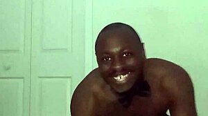 Taking turns stretching like zodiac animals