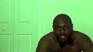 Taking turns stretching like zodiac animals