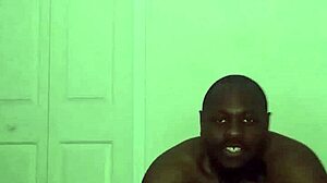 Taking turns stretching like zodiac animals