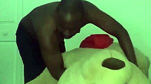 Taking turns stretching like zodiac animals