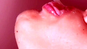 日本娘がモンスターチンポにフェラチオ、クローズアップ！