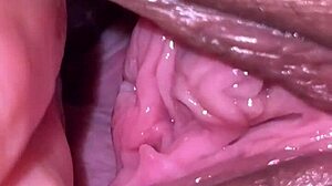 Jerking Off At Night While Looking At Holes