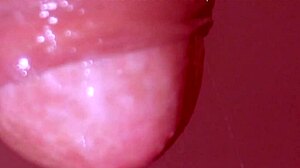 Japanese Girl Gives Monster Cock Blowjob Close-Up!